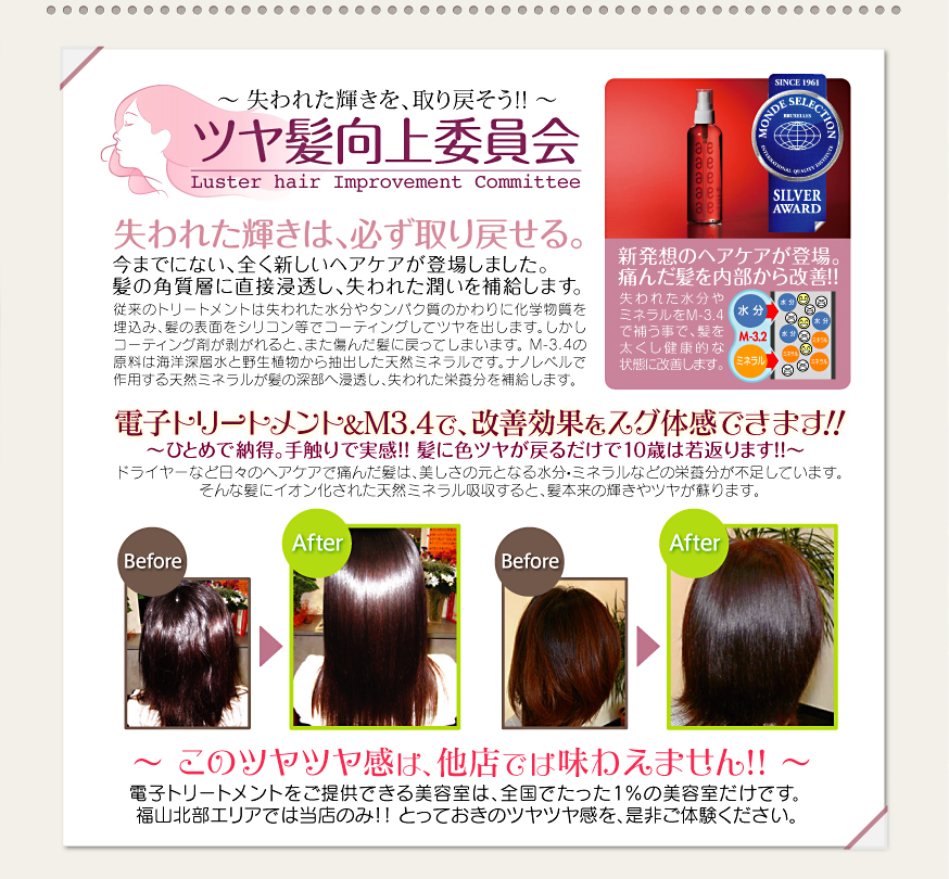 今迄にない全く新しいヘアケアが登場しました。痛んだ髪は内部改善が最適です。